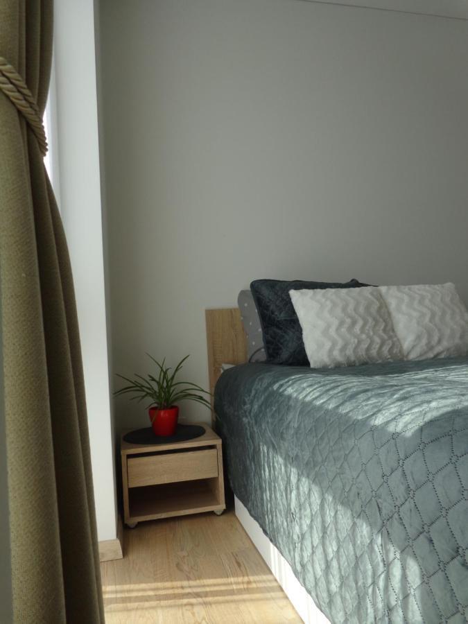 Elzbietos Centro Apartamentai Vilnius Luaran gambar