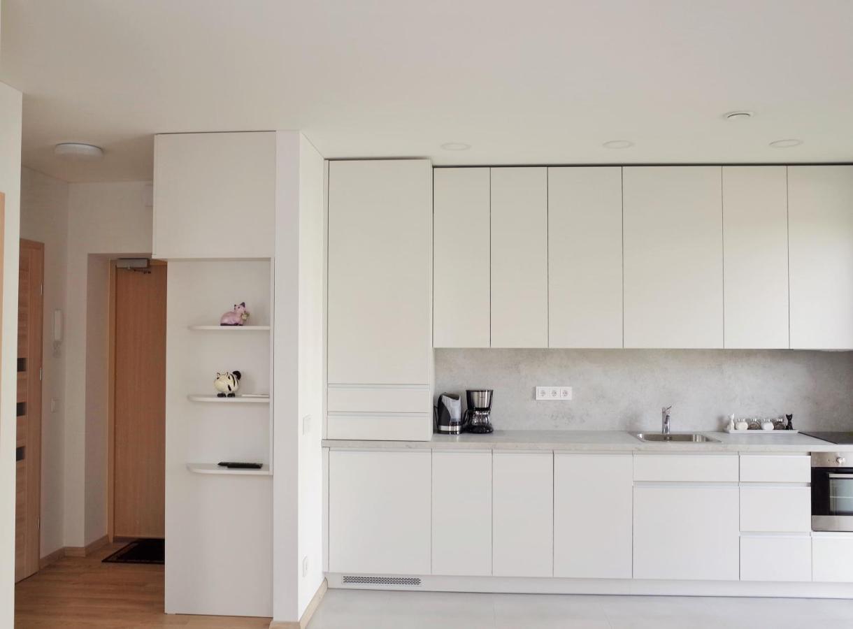 Elzbietos Centro Apartamentai Vilnius Luaran gambar